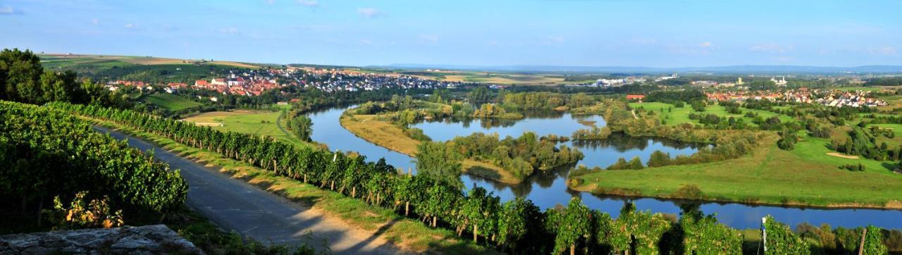 Aparthotel Alte Schmiede Dettelbach Exteriér fotografie